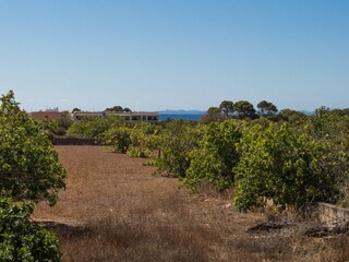 Villa Son Bieló Umgebung 27