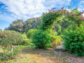 Villa Llubi Grabación al aire libre 8
