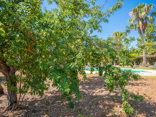 Villa Inca Outdoor Recording 14