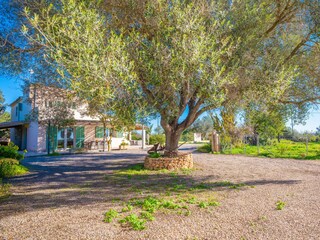 Villa Llucmajor Außenaufnahme 17