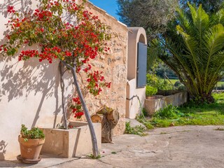Villa Felanitx Buitenaudio-opname 13