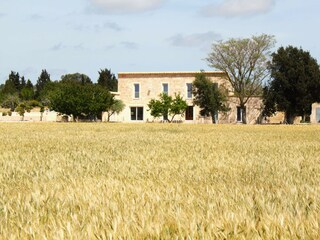 Villa Montuiri Grabación al aire libre 18