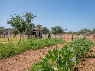 Villa Inca Outdoor Recording 23