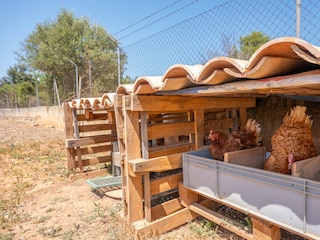 Villa Inca Außenaufnahme 24