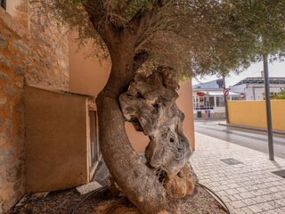Apartment Colonia de Sant Pere Außenaufnahme 6
