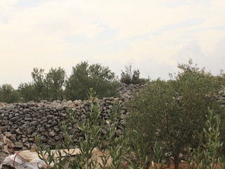 Holiday house Mrljane  12