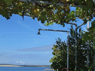 Apartment Kustici  7