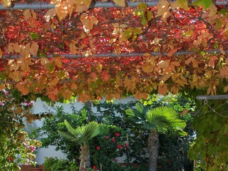 Apartment Kustici  8