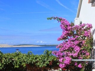 Apartment Kustici  10