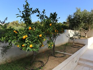 Apartment Rogoznica  14