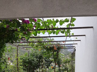 Apartment Trpanj  14