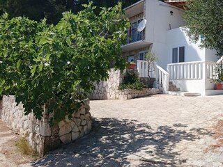 Apartment Ivan Dolac  3