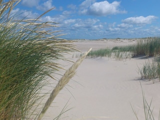 Apartment Norderney  6