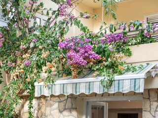 Apartment Mandre  23