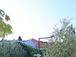 Apartment Ugljan (Ort)  11