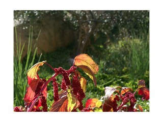 Apartment Ugljan (Ort)  13