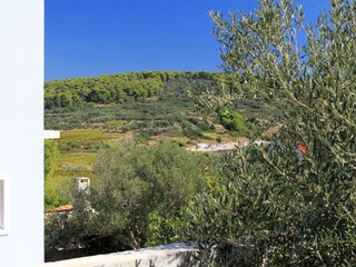 Apartment Lumbarda  4