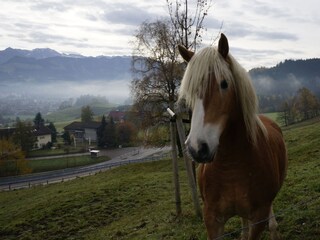 Einfach nett