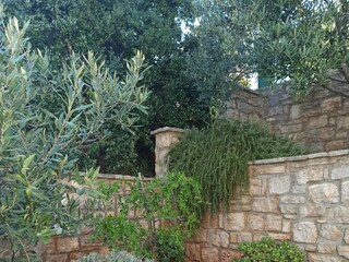 Holiday house Gdinj  13