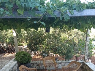 Holiday house Gdinj  14