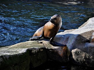 Ferienwohnung Döse Außenaufnahme 10