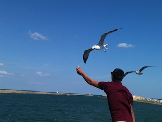 Casa per le vacanze Gruissan Ambiente 13