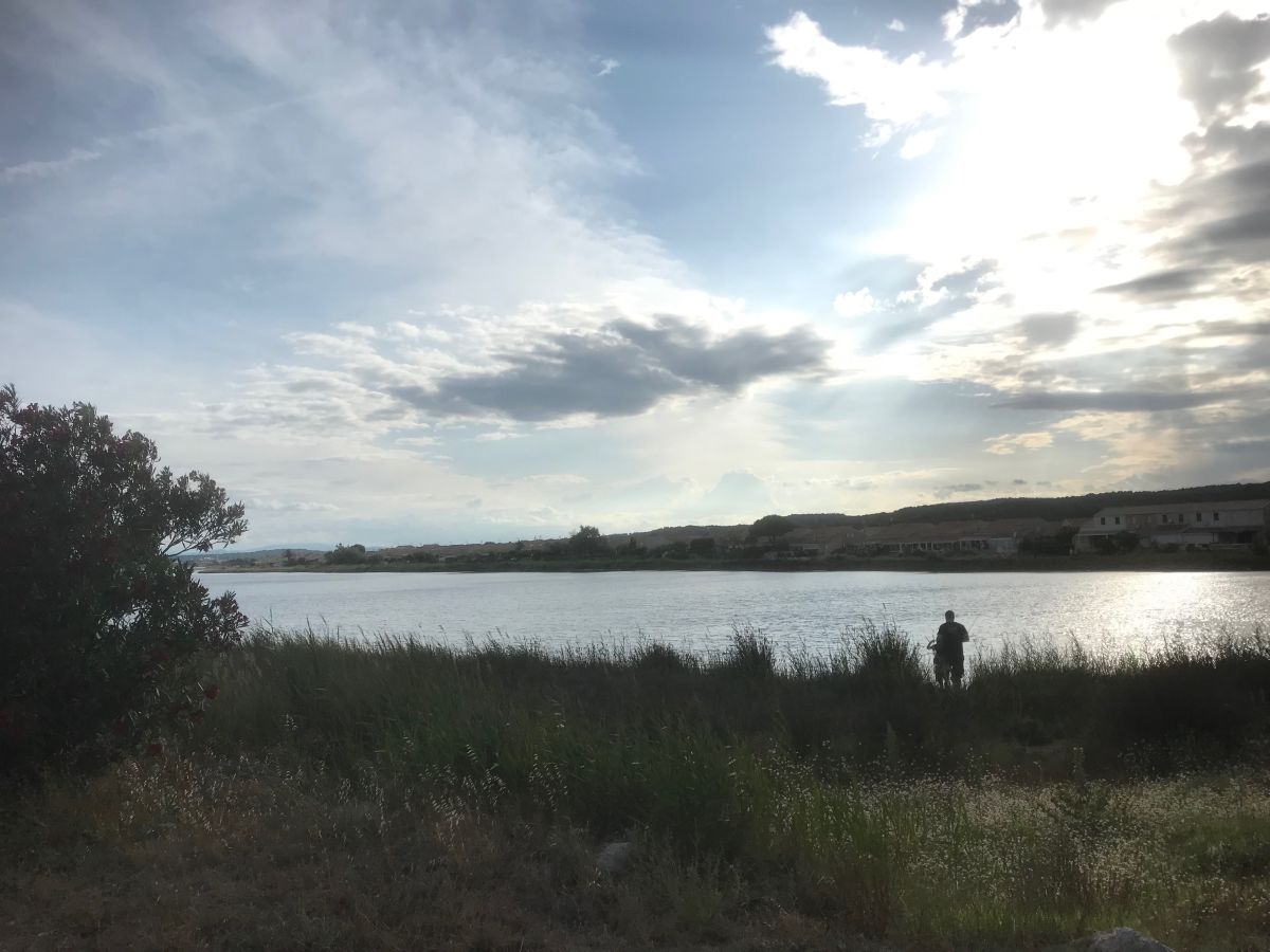 Lagune Gruissan Les Ayguades