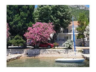 Apartment Korcula (Stadt)  2