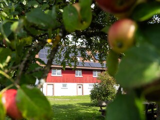 Holiday house Alpirsbach Outdoor Recording 5