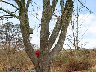 Holiday house Falkenberg (Schweden)  10