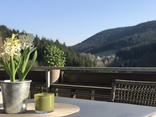 Appartamento per vacanze Alpirsbach Registrazione all'aperto 3