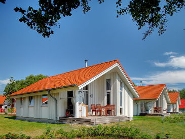 Ferienhaus Kleiner-Belt-Haus Typ A