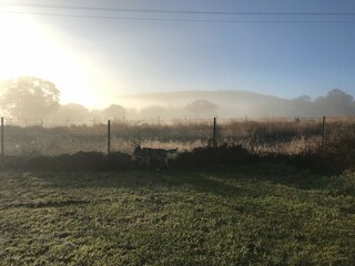 Appartement Welt Environnement 24
