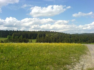 Appartamento per vacanze Alpirsbach Ambiente 20