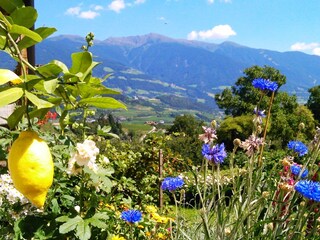 Appartamento per vacanze Vahrn Ambiente 21