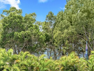 Apartamento Welt Grabación al aire libre 1