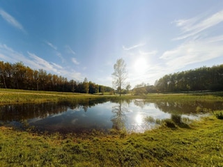 Appartement Aalborg Environnement 24