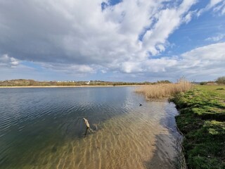 Apartment Aalborg Umgebung 29