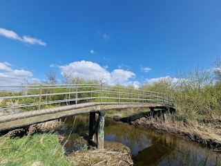 Appartement Aalborg Environnement 33