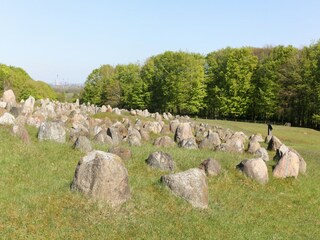Apartment Aalborg Environment 26