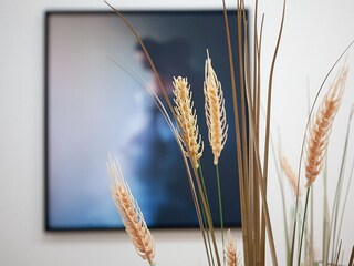 Apartment Sydney  19