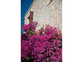 Ferienpark Karefiliana Umgebung 59