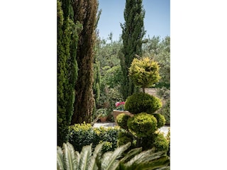 Holiday park Karefiliana  169
