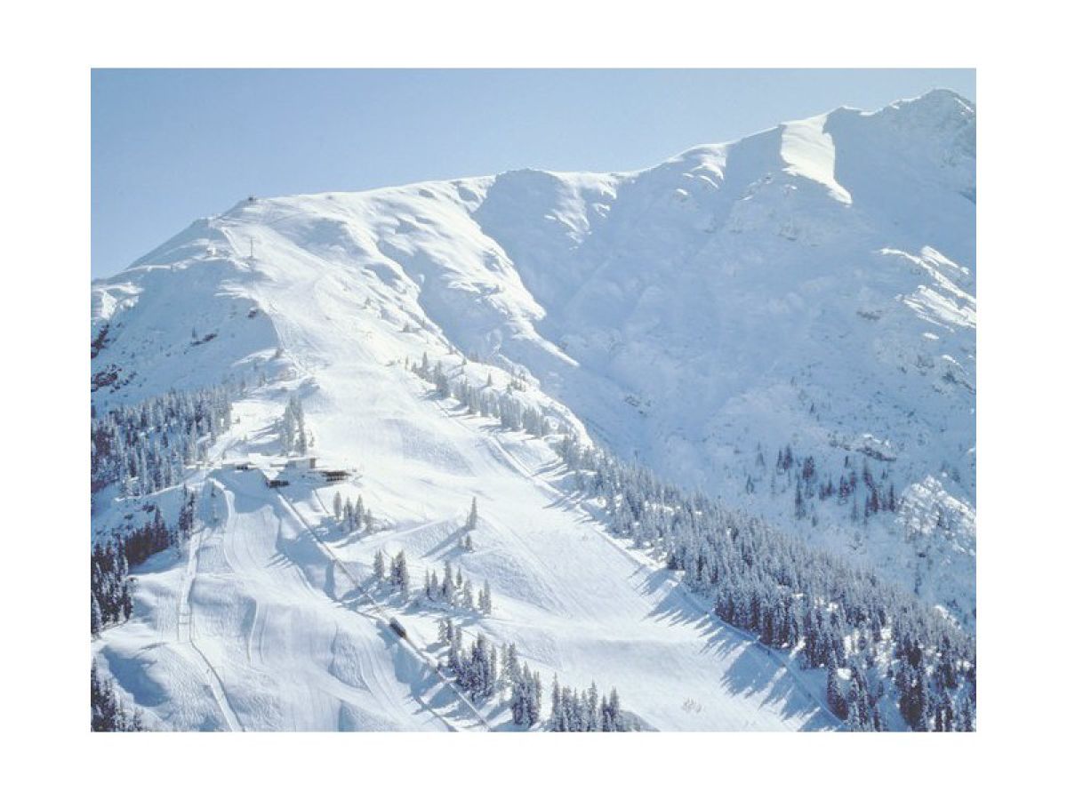 Single frauen zillertal