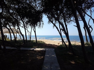 Apartment Sannicola Umgebung 22