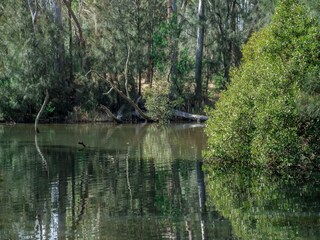 Apartamento Welt Entorno 45