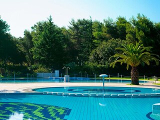 Parc de vacances Cellole  18