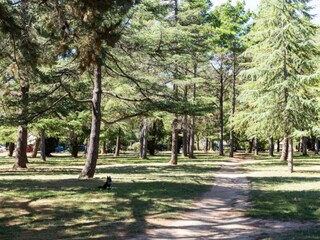 Apartamento Welt Grabación al aire libre 3