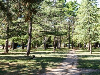 Apartamento Welt Entorno 15