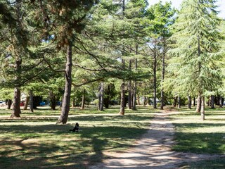 Appartement Welt Environnement 19